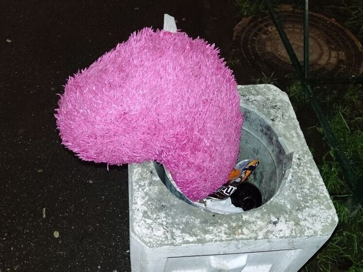     Вопрос в функции поведения. Фото: Архив МК в Великом Новгороде