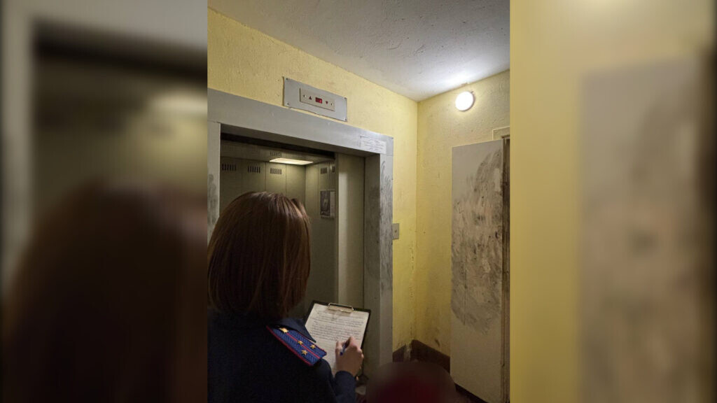    Фото: пресс-служба ГУ МВД России по Петербургу и Ленобласти