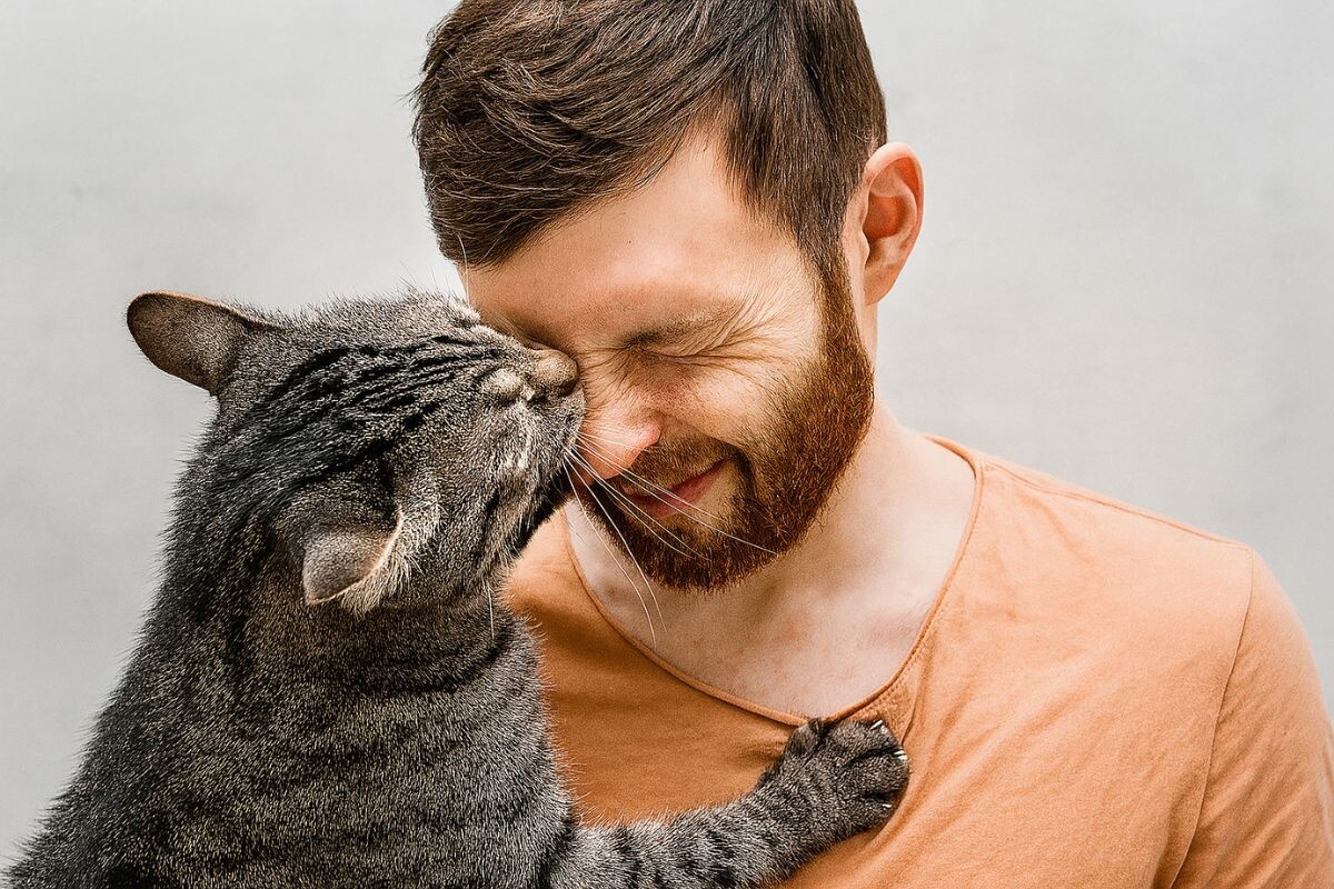 Фото из интернета.