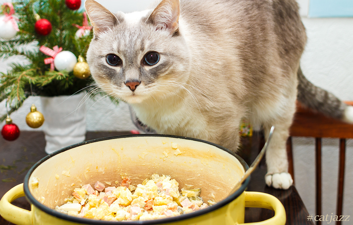 Фото из интернета.