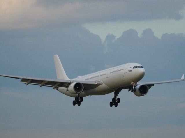    Фото: Агентство "Москва"/Пелагия Тихонова