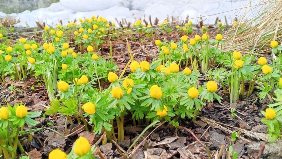    Автор фото: Андрей Цедрик / "ДП"