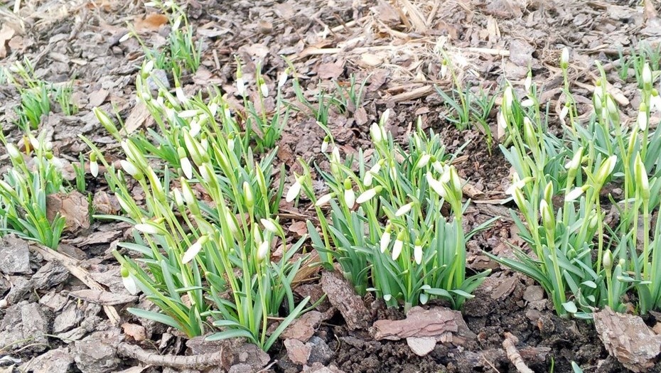    Автор фото: Андрей Цедрик / "ДП"