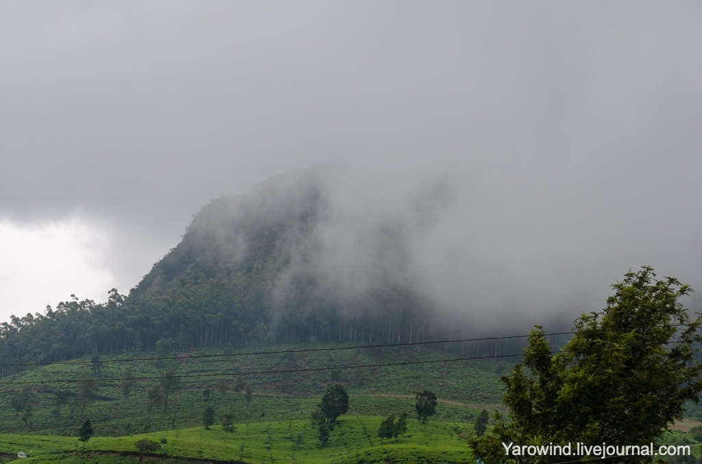 Нувара-Элия, Шри-Ланка