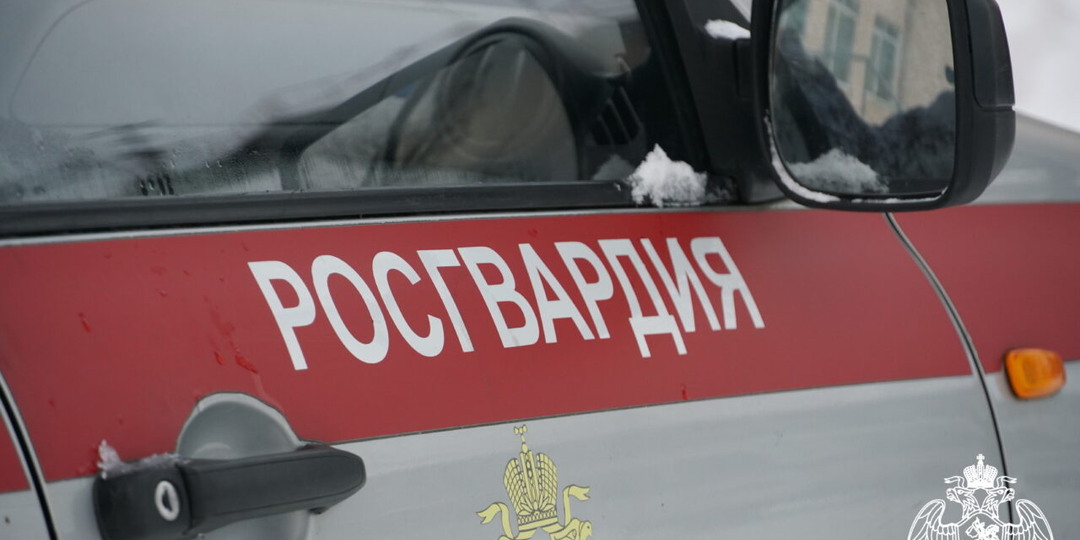 Росгвардейцы задержали десять нарушителей в Карелии