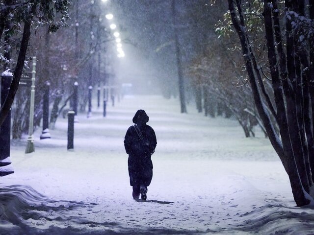    Фото: портал мэра и правительства Москвы/Максим Денисов