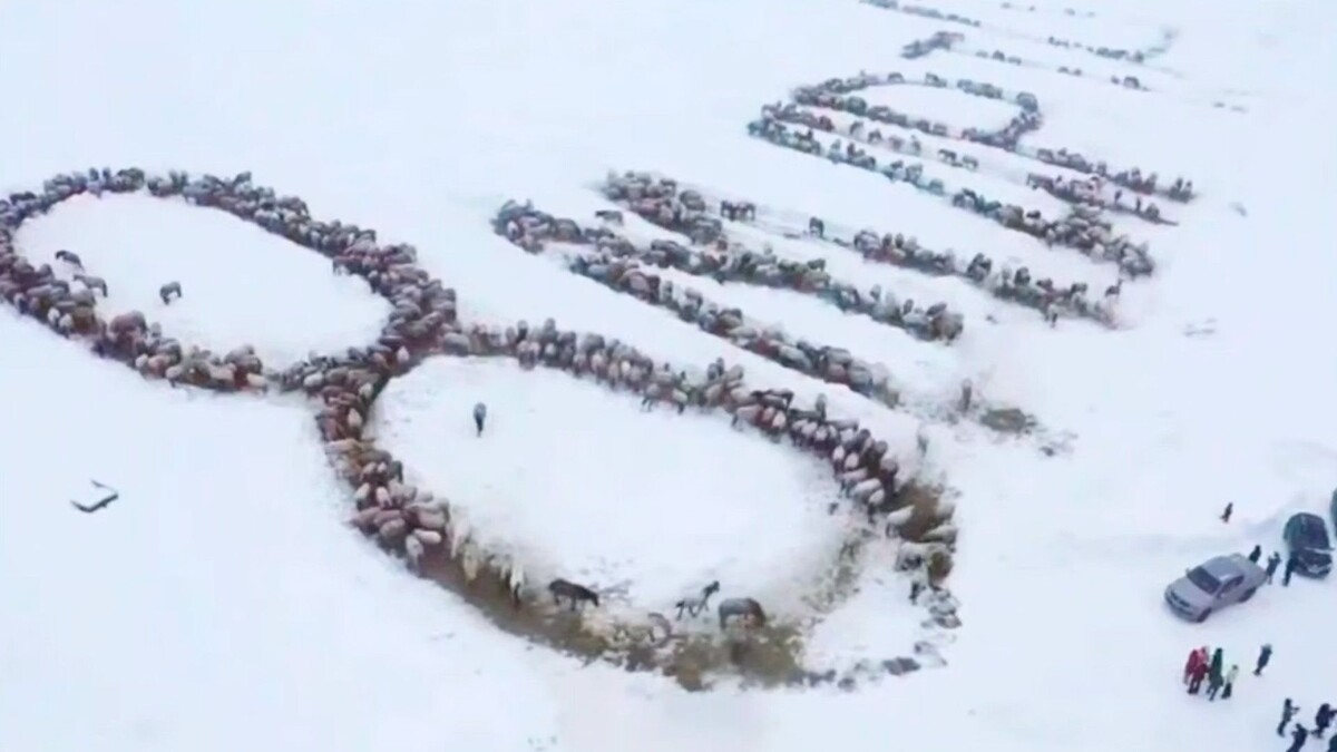     / Источник: © Кадр из видео