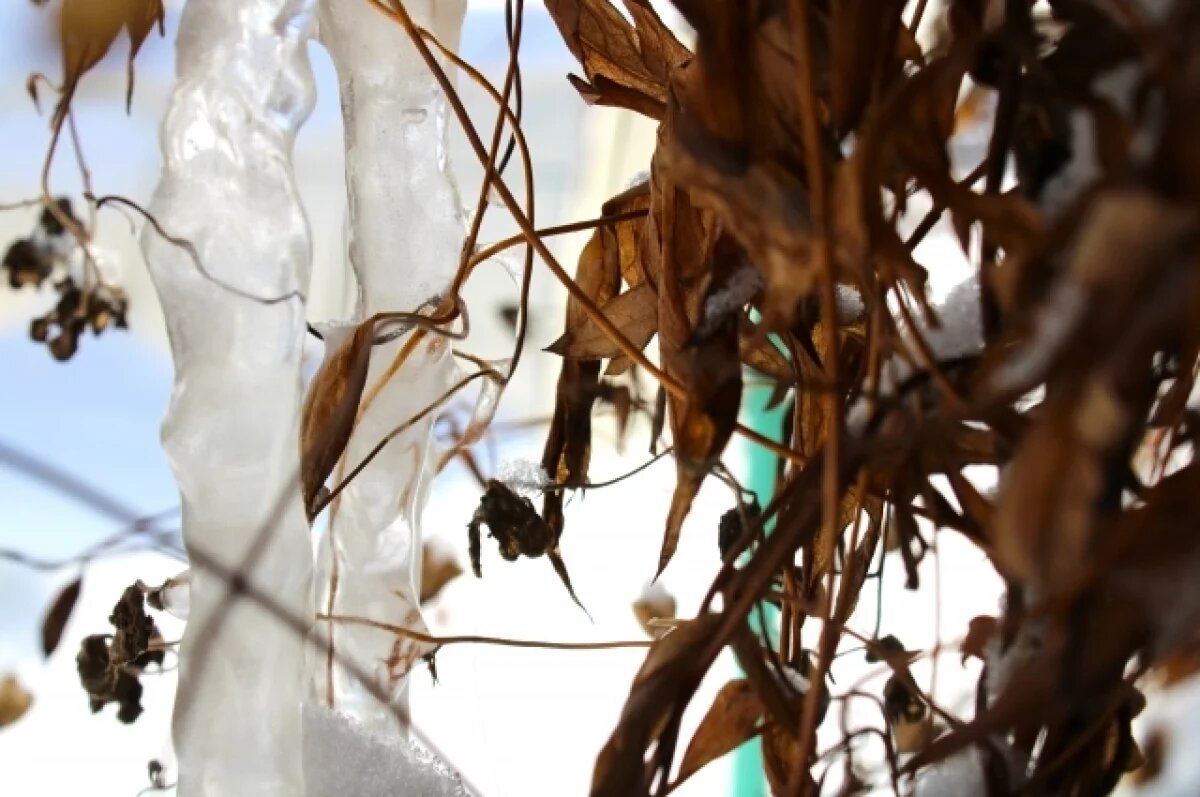    Синоптики прогнозируют тёплую и сухую неделю в регионе