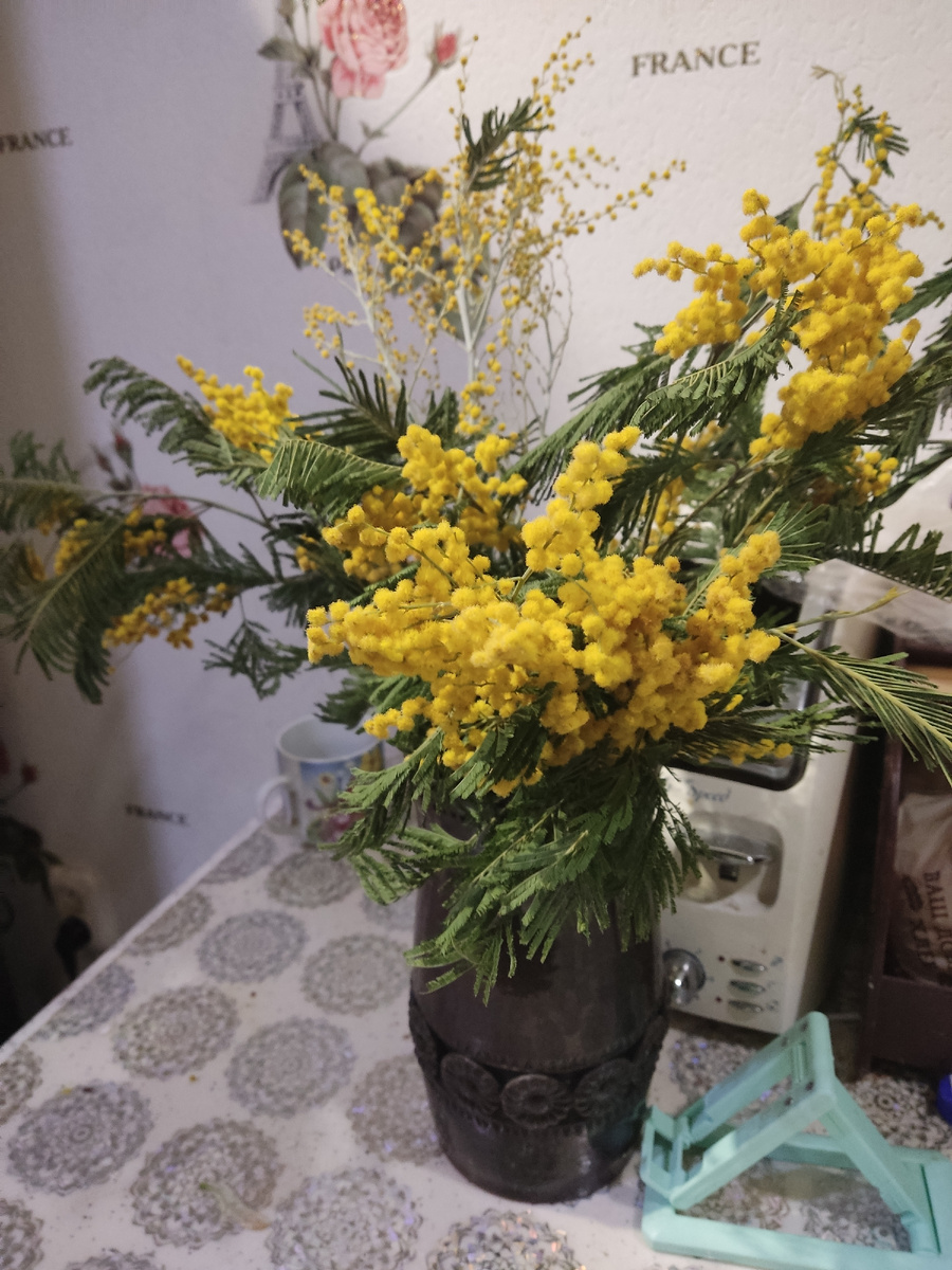 Здесь она одна из веток