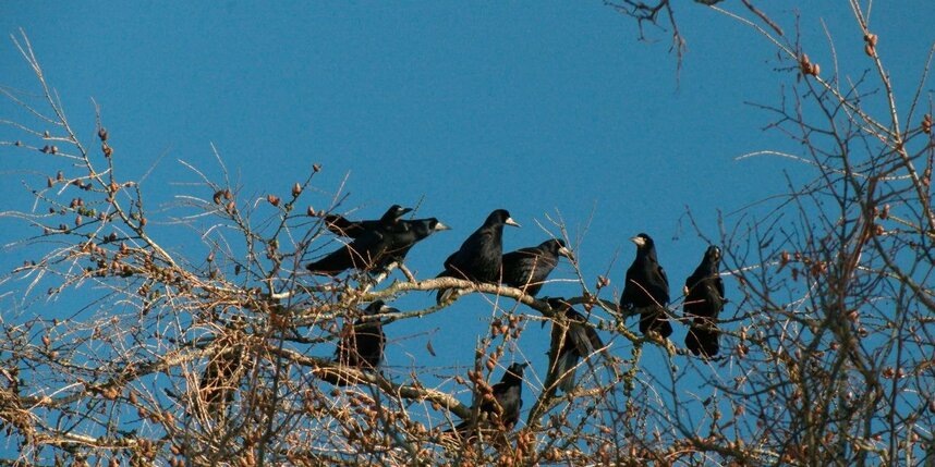    t.me/kazdoytvaripopare