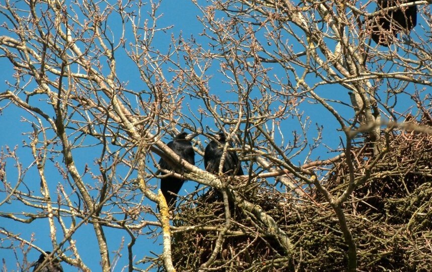    t.me/kazdoytvaripopare