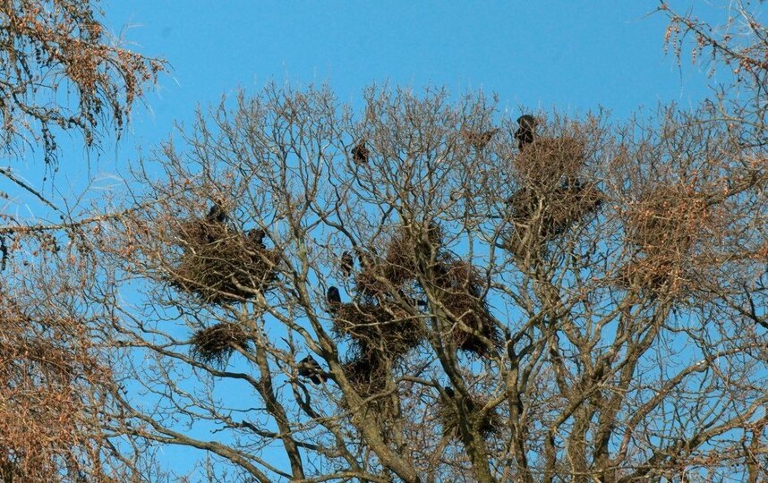    t.me/kazdoytvaripopare