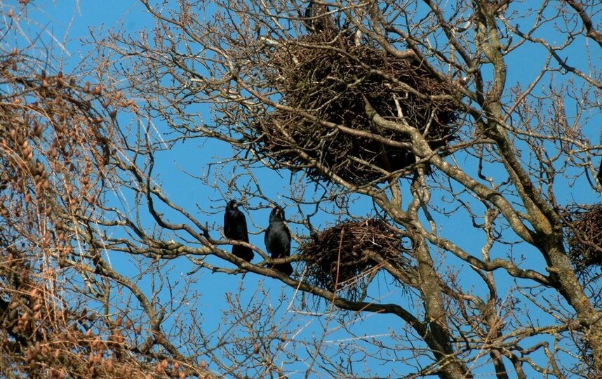    t.me/kazdoytvaripopare