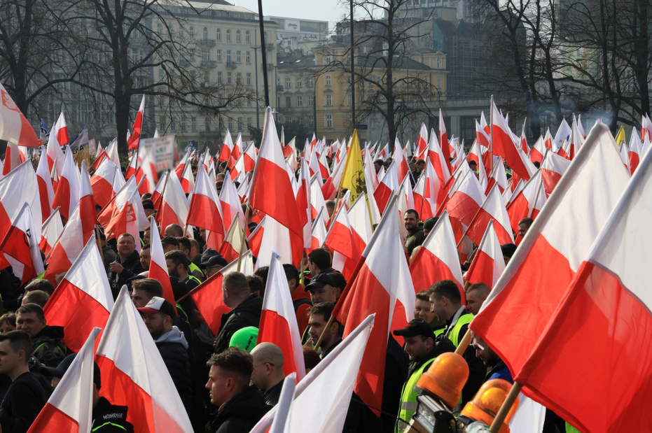    Shutterstock/FOTODOM