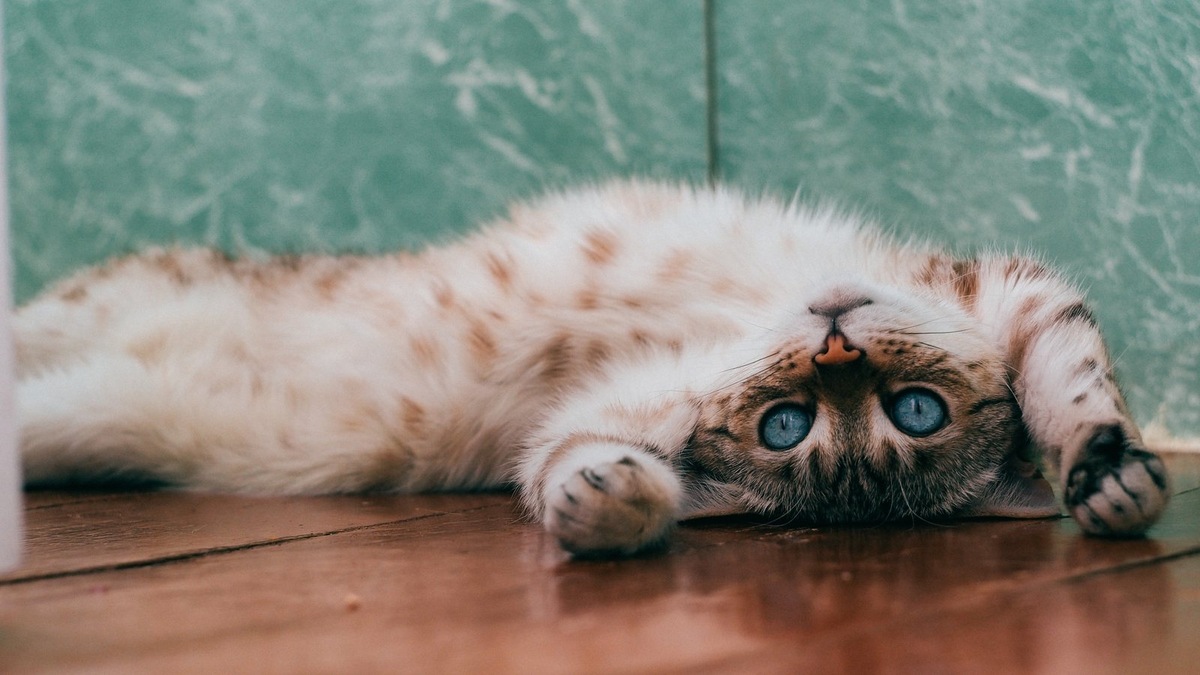    Фото несет иллюстративный характер