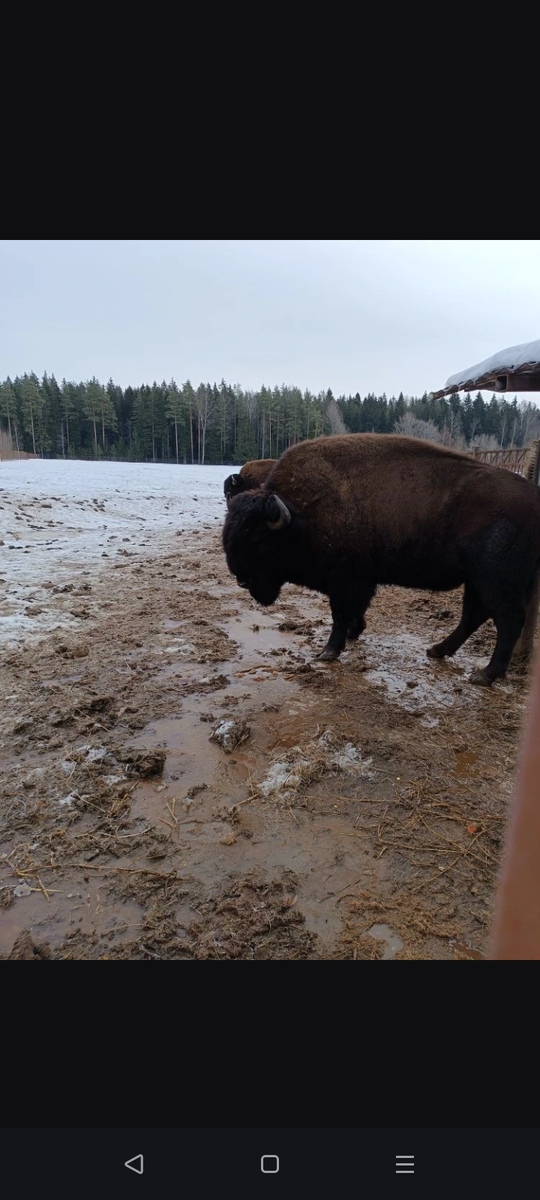 Фото автора.