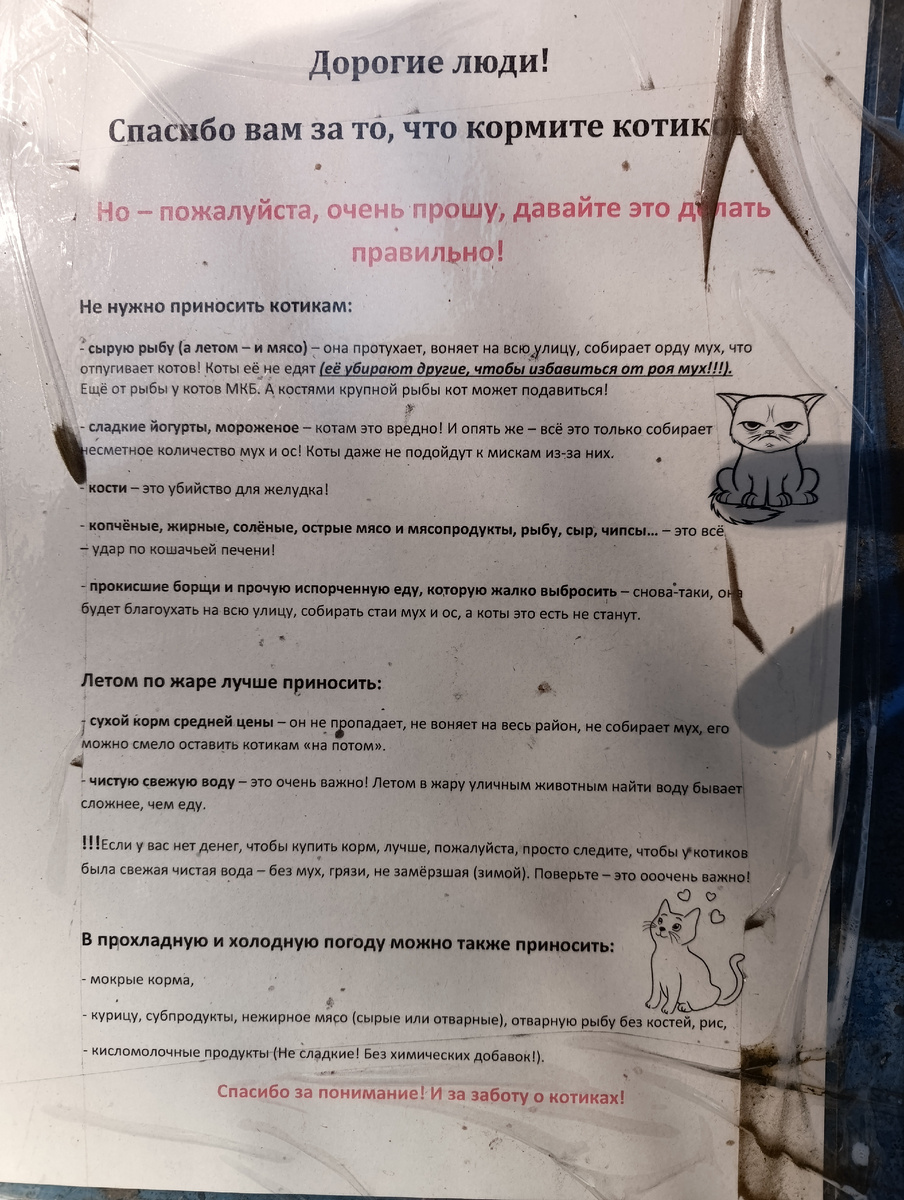 Памятка об осознанной заботе о бездомных котиках у меня на районе в соседнем дворе.