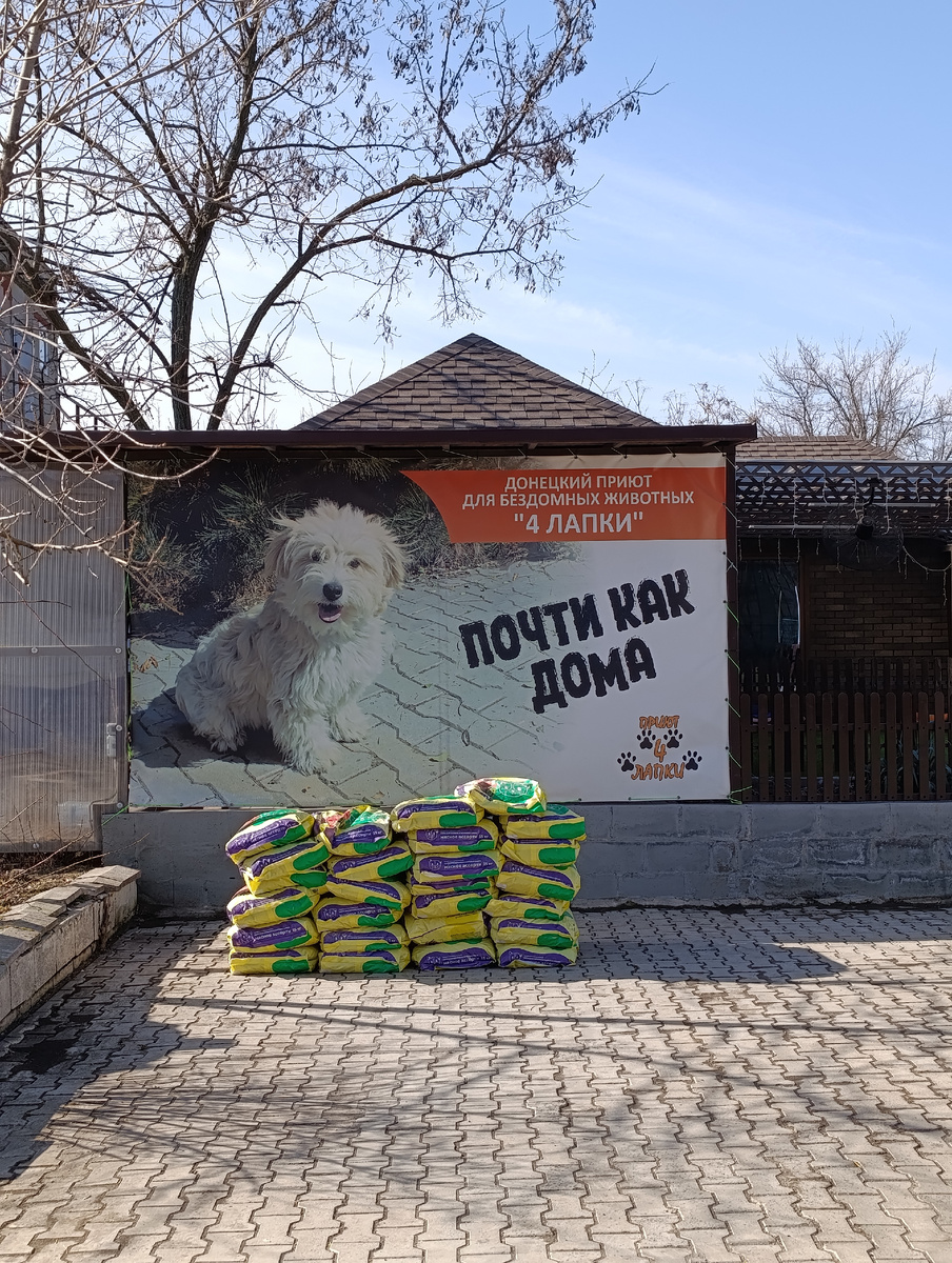 В приюте "4 лапки" сделали хороший ремонт. О животных тут очень хорошо заботятся и это радует:)