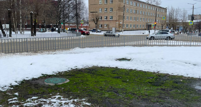    Автор фото - Анна Ефимова