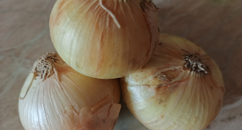    фото smilekaluga.ru