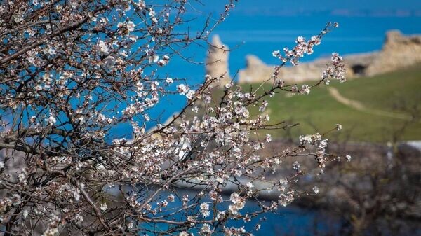    © Telegram Михаил Развожаев