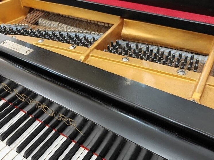     Учащиеся и преподаватели школы подарили зрителям букет из прекрасной музыки. Фото: Архив МК в Великом Новгороде