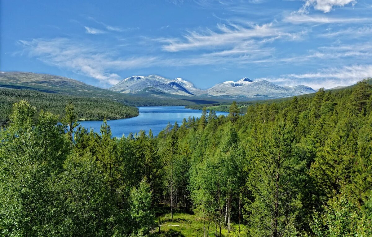 «Река Чара, Восточная Сибирь. Именно здесь в таежных дебрях спряталось единственное в мире месторождение чароита