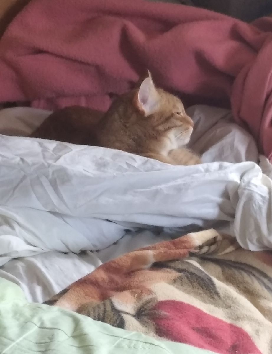 Личное  фото