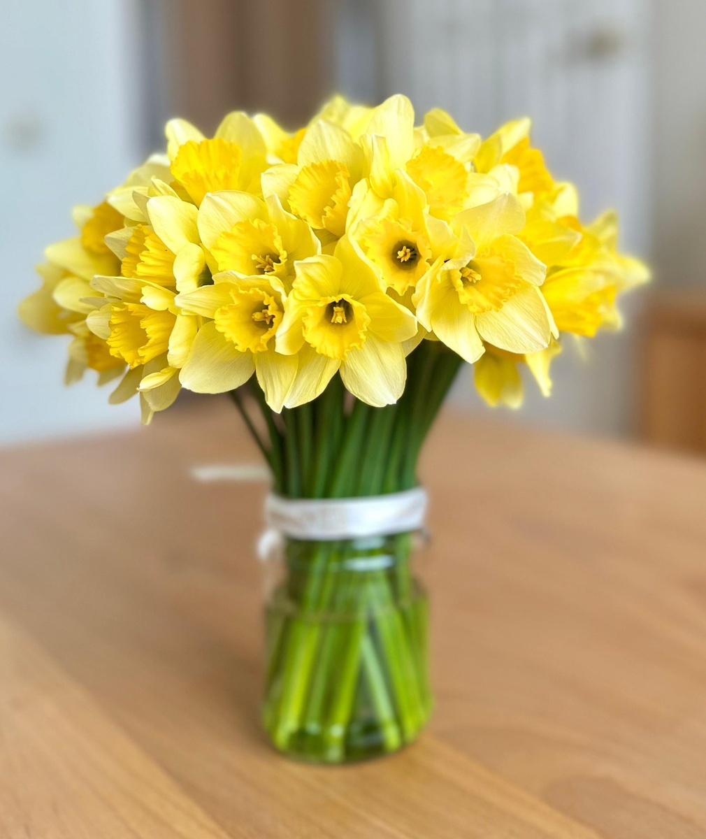 Фото автора. 2025 год