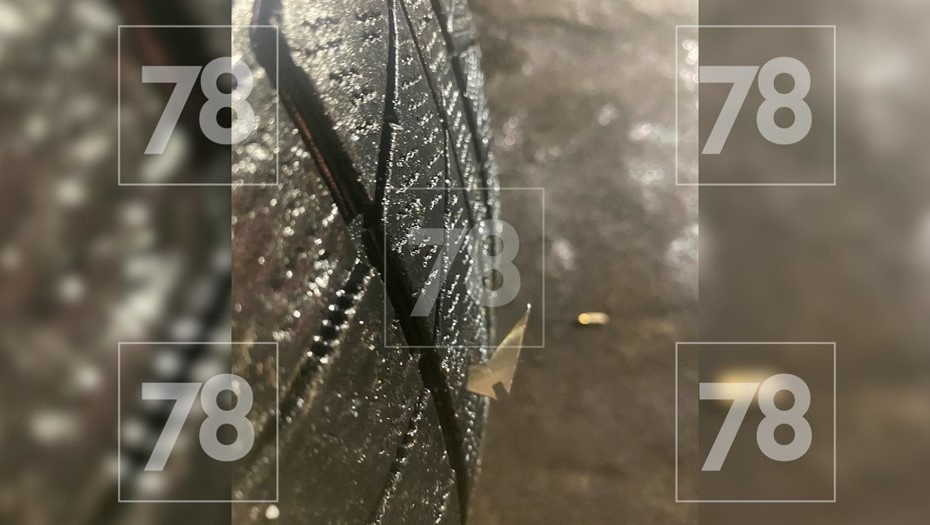    Во Всеволожском районе местные жители находят разбросанные на дорогах металлические шипы Автор фото: 78.ru