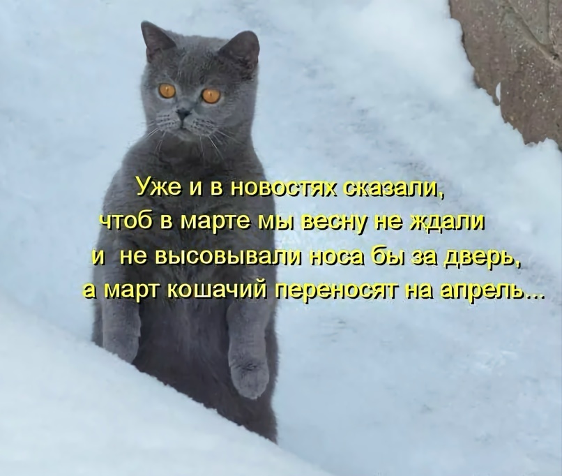 На маму Бусю похожа! Но она дома была