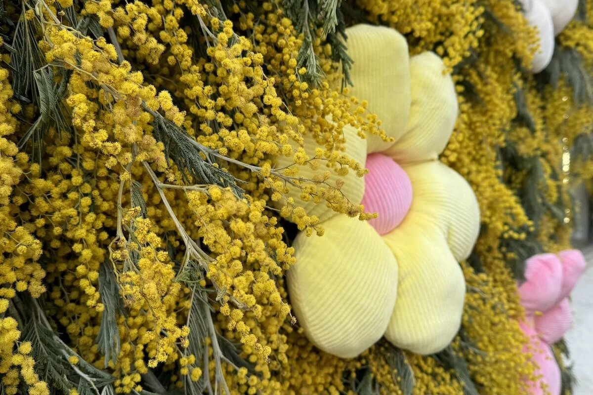 Фото: UfacityNews.ru