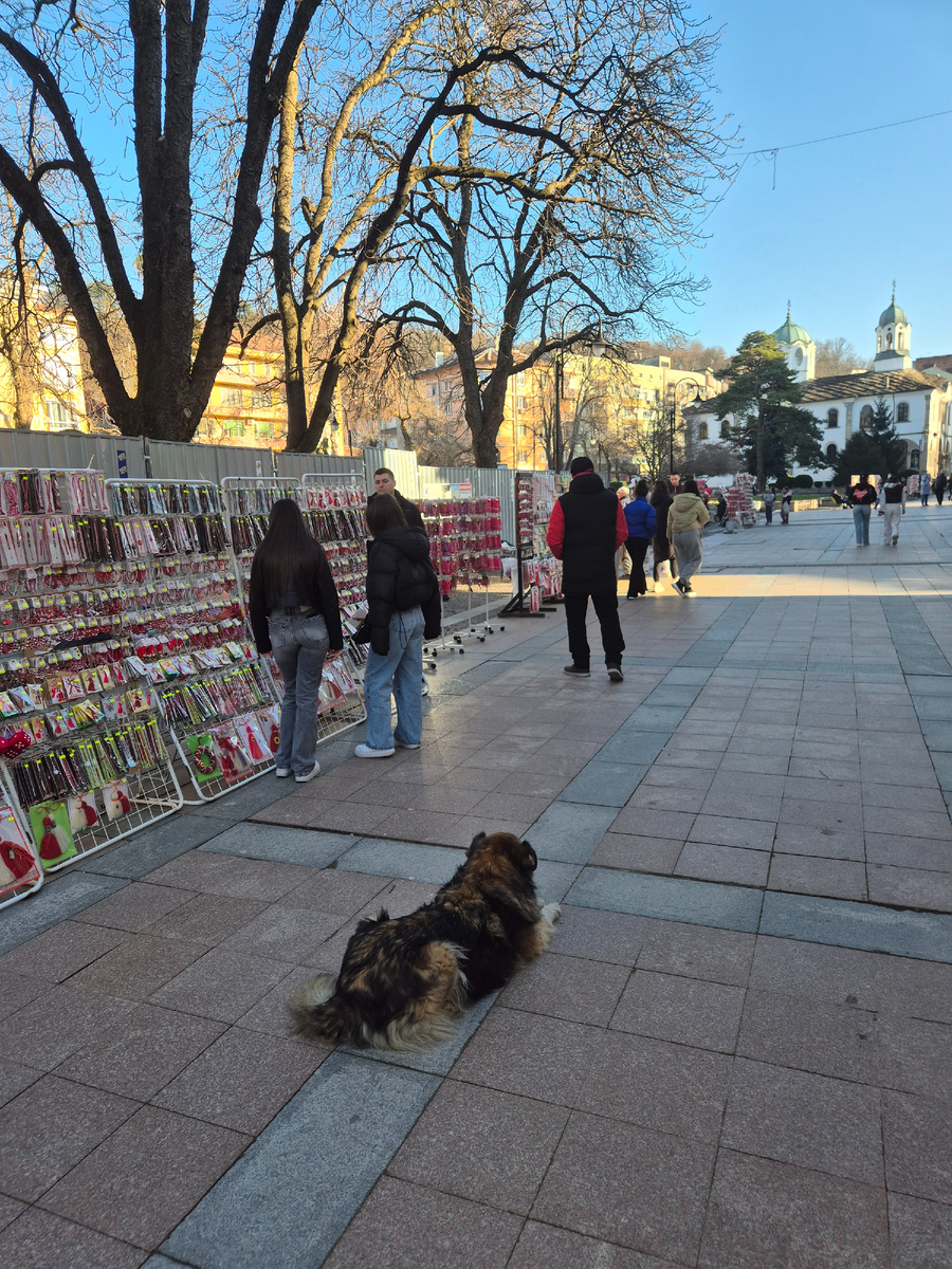 А на центральных улицах продают готовые украшения. На руку или на лацкан рубашки. Покупают регулярно, значит традиция популярная.