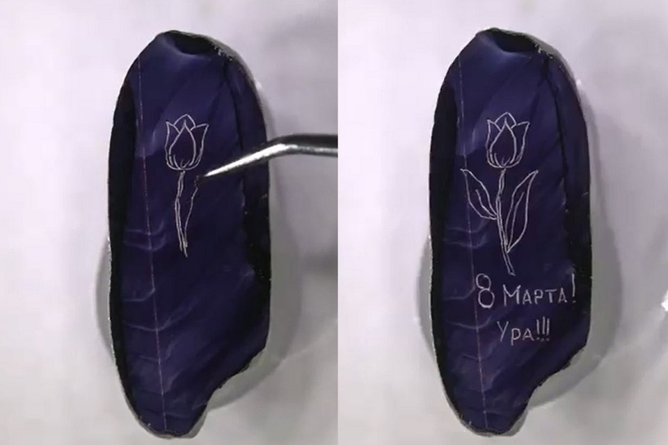    Это не первая миниатюрная работа Анискина, выполненная на рисовом зернышке. Фото: скриншот видео Владимира Анискина