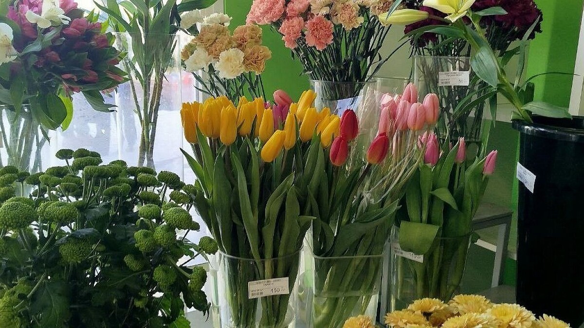    Фото: телеканал «Краснодар»