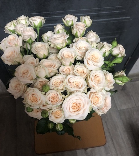 7 марта. День выходной, предпраздничный.