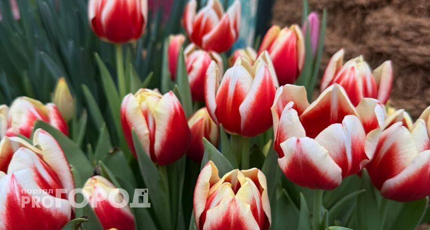    Фото редакции