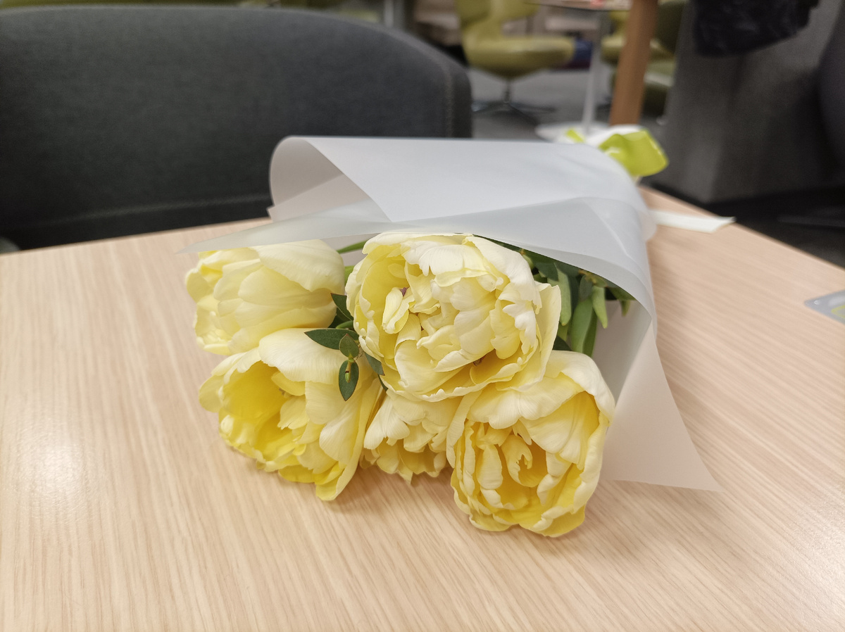 Фото сделано автором