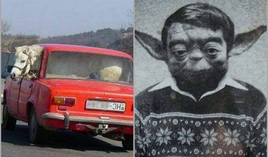 15 фото со славянским колоритом, которые докажут, что мы похожи больше, чем кажется