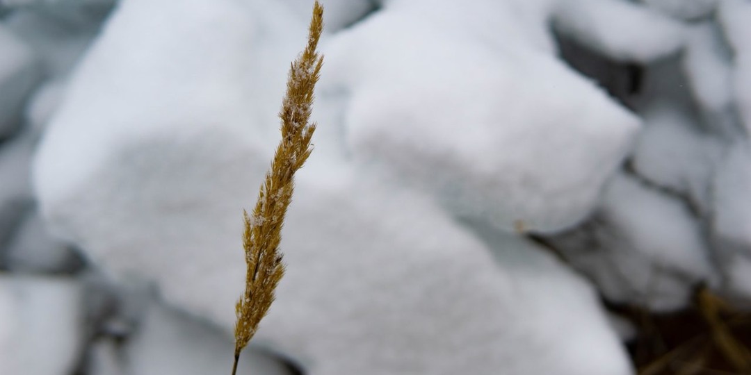 Стало известно, когда весеннее тепло придет в Карелию