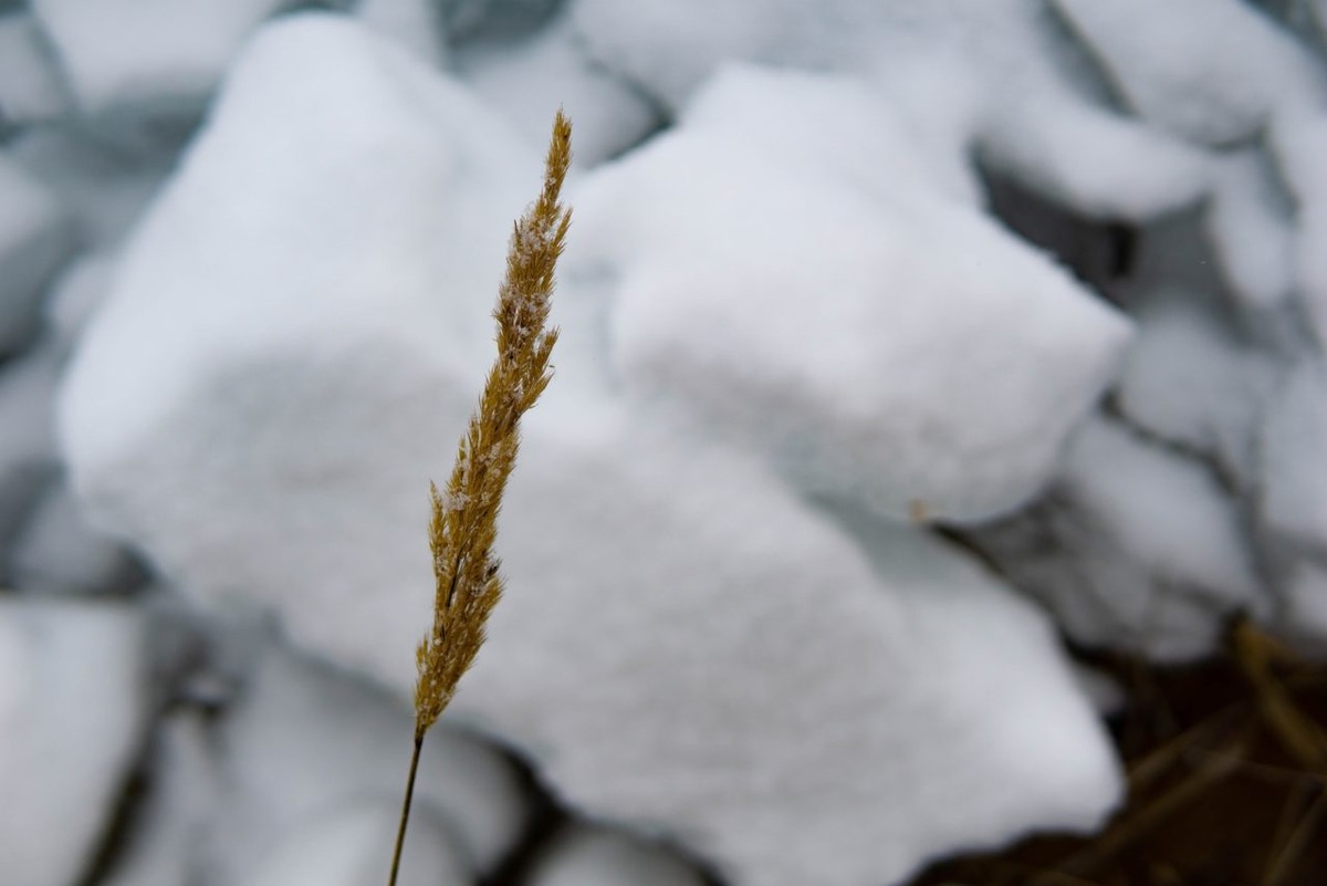    Фото: "Республика" / Оксана Кудряшова