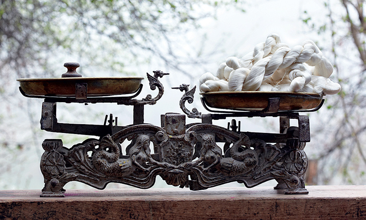 Фото: Дмитрий Лившиц