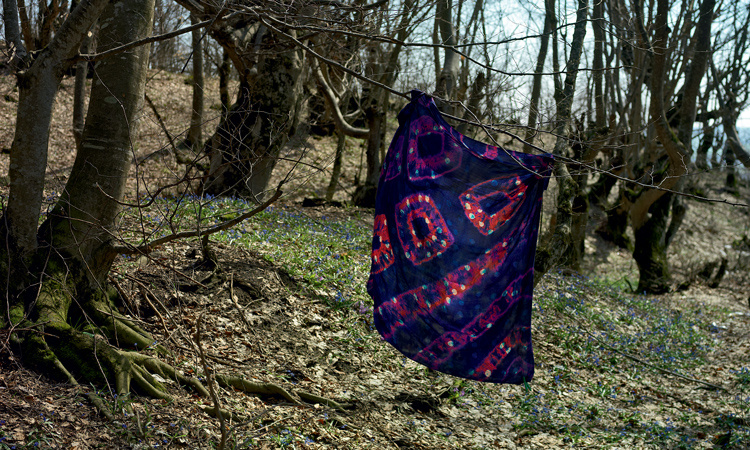 Фото: Алексей Кузьмичев