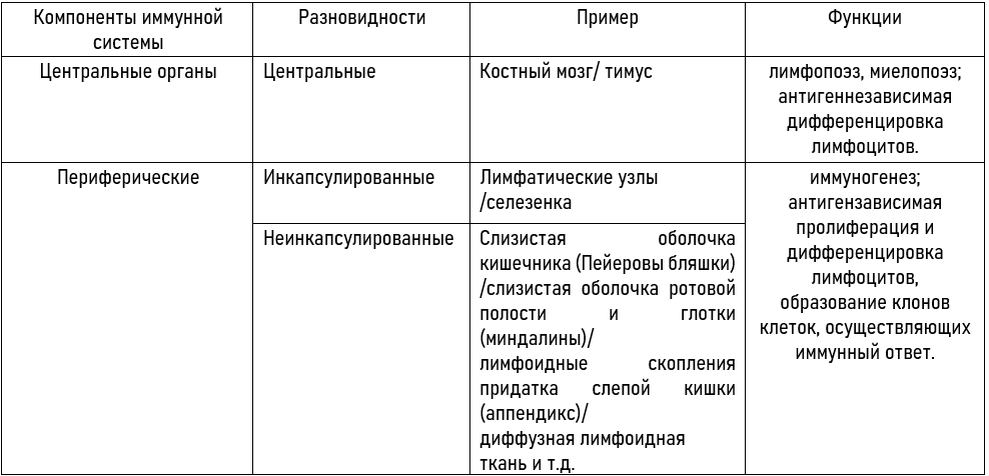 Классификация органов иммунной системы 