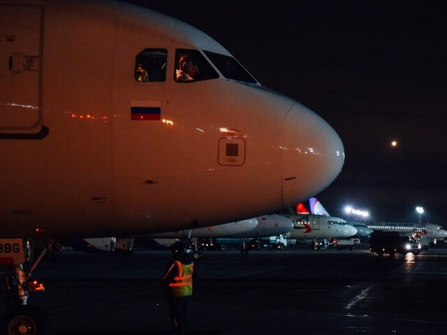    Фото: Москва 24/Никита Симонов