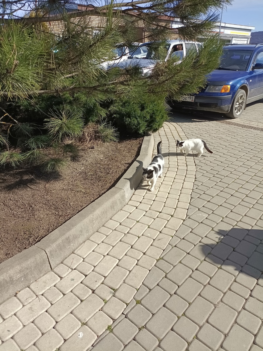 фото автора