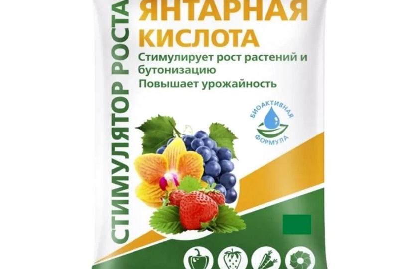 Янтарная кислота для рассады применение.