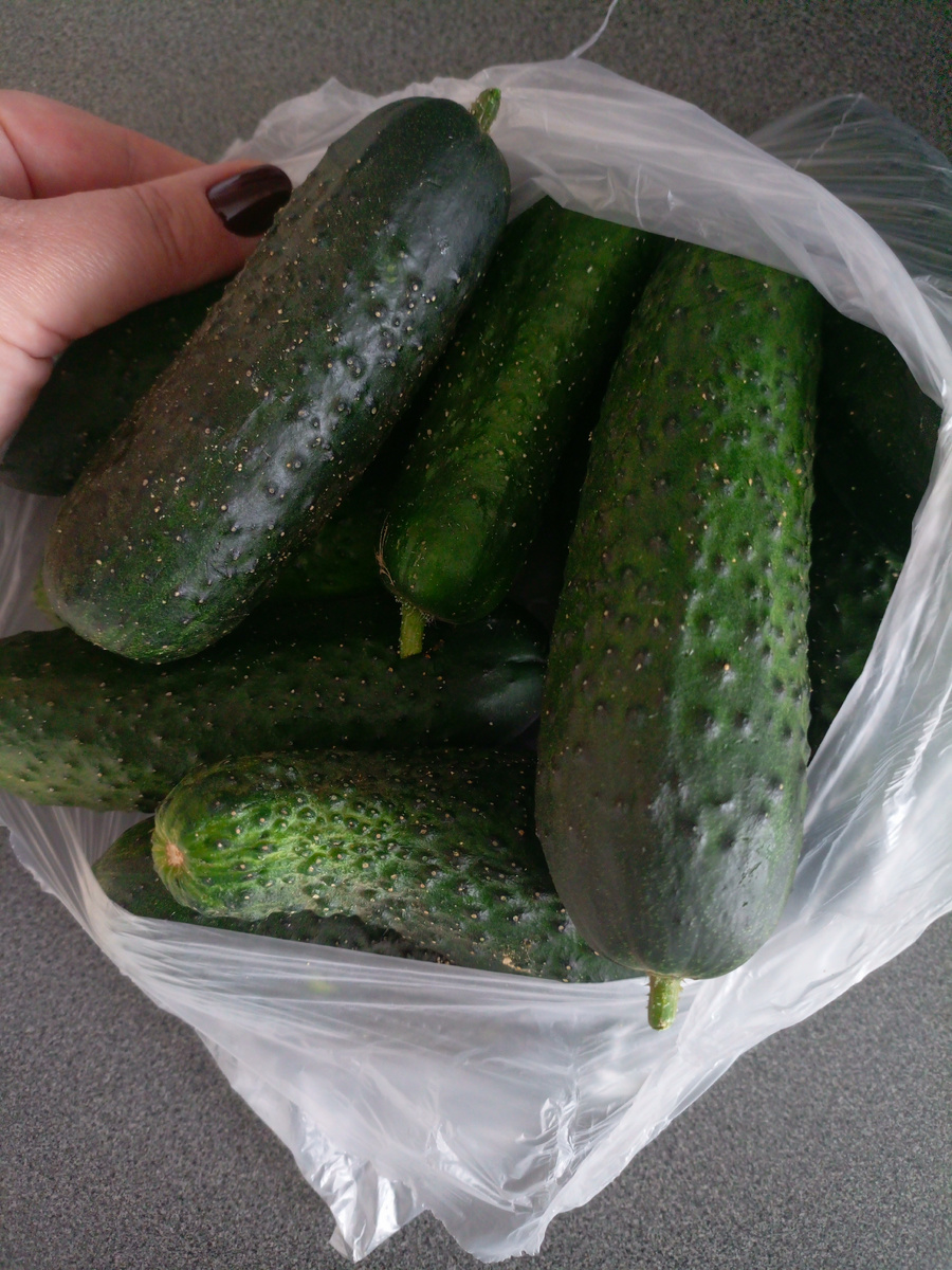 Фото сделано автором канала