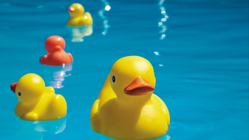    Фото: www.globallookpress.com/Creativ Studio Heinemann