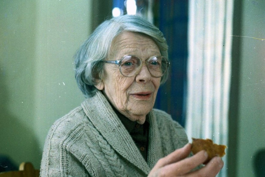 фото из открытого источника